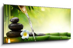 Obraz   spa stones in garden with flow water, 120 x 50 cm