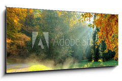 Obraz 1D panorama - 120 x 50 cm F_AB69080961 - Beautiful autumn tree with fallen dry leaves - Krsn podzimn strom s padlmi suchmi listy