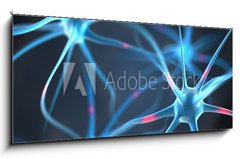 Obraz   Neurons in the brain, 120 x 50 cm