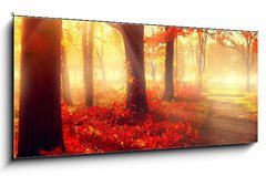 Obraz 1D panorama - 120 x 50 cm F_AB69511191 - Fall scene. Beautiful autumnal park in sunlight
