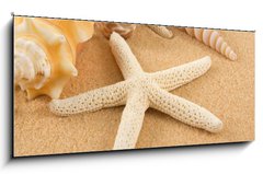 Sklenn obraz 1D panorama - 120 x 50 cm F_AB7005446 - Seashell