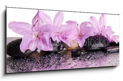 Sklenn obraz 1D - 120 x 50 cm F_AB70327716 - flowers and black stones with reflection - kvtiny a ern kameny s odrazem