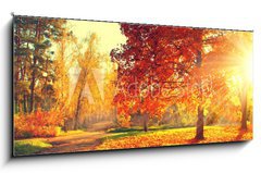 Skleněný obraz 1D panorama - 120 x 50 cm F_AB70441318 - Autumn scene. Fall. Trees and leaves in sun light - Podzimní scéna. Podzim. Stromy a listy na slunci