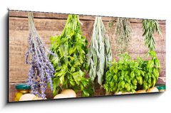 Sklenn obraz 1D panorama - 120 x 50 cm F_AB70518876 - various fresh and dried herbs