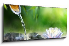 Skleněný obraz 1D panorama - 120 x 50 cm F_AB70564979 - zen garden with massage stones and waterlily - zenové zahrady s masážními kameny a vodním lilkem
