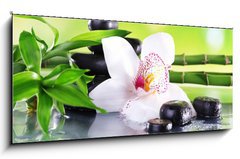 Obraz   Spa stones, bamboo branches and white orchid, 120 x 50 cm