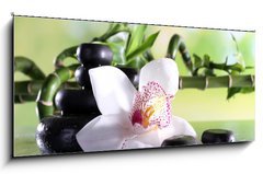 Obraz 1D panorama - 120 x 50 cm F_AB71191786 - Spa stones and white orchid on table on natural background