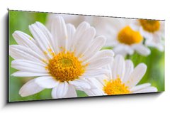 Skleněný obraz 1D panorama - 120 x 50 cm F_AB71635275 - naure power - naurová síla