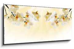 Skleněný obraz 1D panorama - 120 x 50 cm F_AB72852358 - Beautiful white orchid - Krásná bílá orchidej