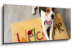 Sklenn obraz 1D panorama - 120 x 50 cm F_AB73116832 - Cute dog posing on the carpet