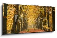 Sklenn obraz 1D panorama - 120 x 50 cm F_AB73139707 - Warm autumn colors in a beautiful lane in a forest.