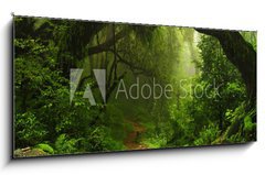 Obraz   Selva Nepal, 120 x 50 cm