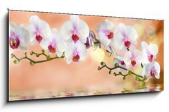 Sklenn obraz 1D panorama - 120 x 50 cm F_AB74704907 -       