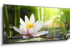 Obraz 1D panorama - 120 x 50 cm F_AB76650282 - lotus flower