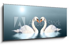 Sklenn obraz 1D panorama - 120 x 50 cm F_AB76927393 - Paar Schwne - Pr labut