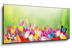 Obraz 1D panorama - 120 x 50 cm F_AB78579021 - Beautiful bouquet of tulips. - Krsn kytice tulipn.
