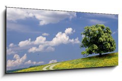 Sklenn obraz 1D panorama - 120 x 50 cm F_AB7861110 - Weg zur Ruhe