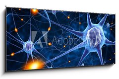 Obraz 1D panorama - 120 x 50 cm F_AB78707112 - nerve cells