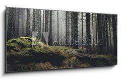 Obraz   wilderness landscape forest with pine trees and moss on rocks, 120 x 50 cm