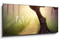 Sklenn obraz 1D panorama - 120 x 50 cm F_AB79255911 - Forest pathway - Lesn cesta