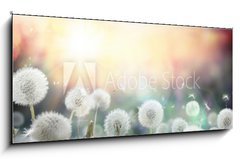 Obraz 1D - 120 x 50 cm F_AB79562753 - field of dandelion in sunset - bokeh and allergy