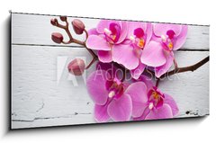 Skleněný obraz 1D panorama - 120 x 50 cm F_AB80265794 - Pink orchid flower. - Růžová orchidejová květina.