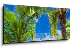 Skleněný obraz 1D panorama - 120 x 50 cm F_AB80783093 - Few palm trees overlooking tropical beach on Cook Islands