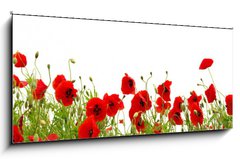Obraz 1D panorama - 120 x 50 cm F_AB81019876 - red poppy