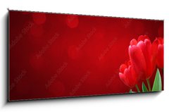 Obraz   Wunderschne Tulpen, 120 x 50 cm