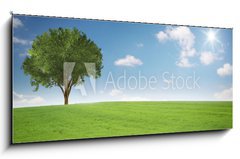 Sklenn obraz 1D panorama - 120 x 50 cm F_AB81510276 - Landschaft mit Baum - Krajina se stromem