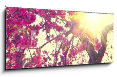 Obraz   Spring blossom. Beautiful nature scene with blooming tree, 120 x 50 cm
