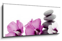 Obraz 1D panorama - 120 x 50 cm F_AB8343881 - pebble with ibiscus flower