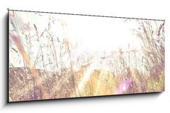 Obraz 1D panorama - 120 x 50 cm F_AB84657670 - Sun rays on a meadow - Slunen paprsky na louce