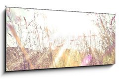 Obraz 1D panorama - 120 x 50 cm F_AB84657670 - Sun rays on a meadow
