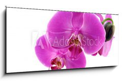Sklenn obraz 1D panorama - 120 x 50 cm F_AB8546686 - Orchidea fiorita