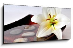 Sklenn obraz 1D panorama - 120 x 50 cm F_AB8562135 - Wellness Bl ten