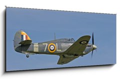 Obraz 1D panorama - 120 x 50 cm F_AB898753 - 1941 hawker sea hurricane in flight