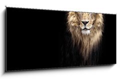 Obraz 1D panorama - 120 x 50 cm F_AB91596969 - Portrait of a Beautiful lion, lion in the dark - Portrt krsnho lva, lev v temnot