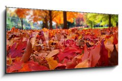 Obraz 1D panorama - 120 x 50 cm F_AB95226612 - autumn leaves