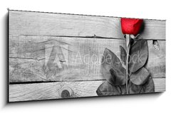 Sklenn obraz 1D panorama - 120 x 50 cm F_AB95876705 - Red rose on black and white wooden background