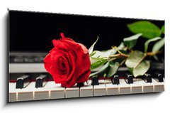 Sklenn obraz 1D panorama - 120 x 50 cm F_AB98331602 - piano keys and red rose - klavrn kle a erven re