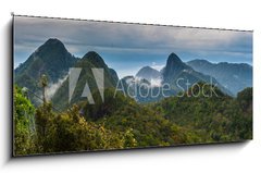 Sklenn obraz 1D - 120 x 50 cm F_AB98620191 - Langkawi - Inselparadis der Adler im Regenwald