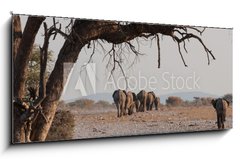 Skleněný obraz 1D panorama - 120 x 50 cm F_AB98815534 - Elefantenherde verl sst das Wasserloch Etosha Namibia - Elefantenherde verl sst das Wasserloch Etosha Namibie