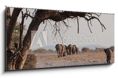 Obraz 1D panorama - 120 x 50 cm F_AB98815534 - Elefantenherde verl  sst das Wasserloch  Etosha  Namibia