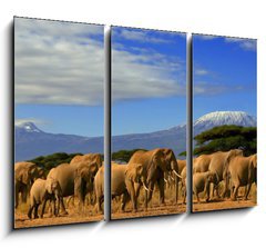 Obraz 3D tdln - 105 x 70 cm F_BB10215538 - Kilimanjaro And Elephants - Kilimanjaro a sloni