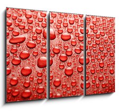 Obraz 3D tdln - 105 x 70 cm F_BB10361893 - Water drops - Kapky vody