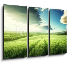 Obraz 3D tdln - 105 x 70 cm F_BB104579595 - Tuscany sunset, Italy