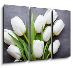 Obraz 3D tdln - 105 x 70 cm F_BB105673696 - More white tulip on the grey background.