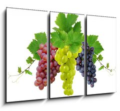 Obraz 3D tdln - 105 x 70 cm F_BB10964464 - Three fresh grapes