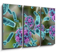 Obraz 3D tdln - 105 x 70 cm F_BB110321094 - Bacteria and hepatitis A virus